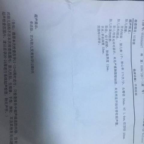 journal_insert_pic_1080805364