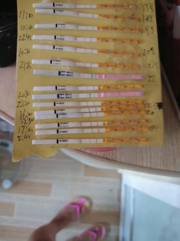 journal_insert_pic_1080727305