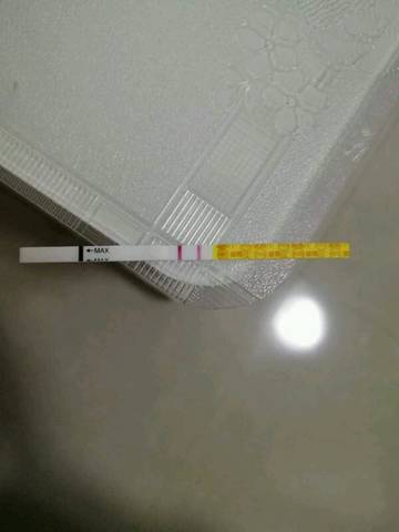 journal_insert_pic_1082192480