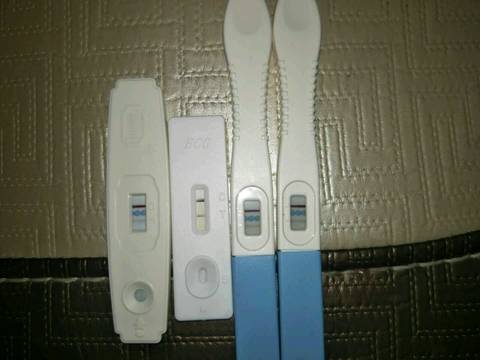 journal_insert_pic_1083750321