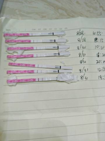 journal_insert_pic_1085348660