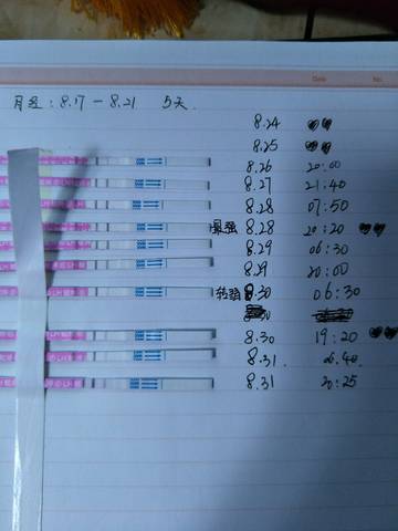 journal_insert_pic_1084850667