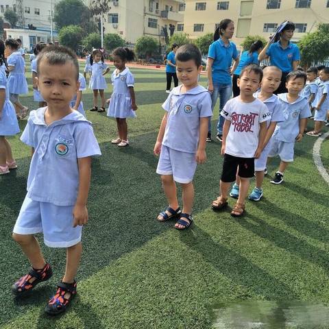 journal_insert_pic_1086241566