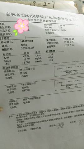 journal_insert_pic_1086858864