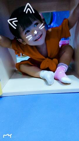 journal_insert_pic_1087399315