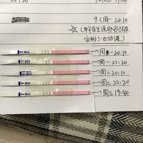 journal_insert_pic_1087629811