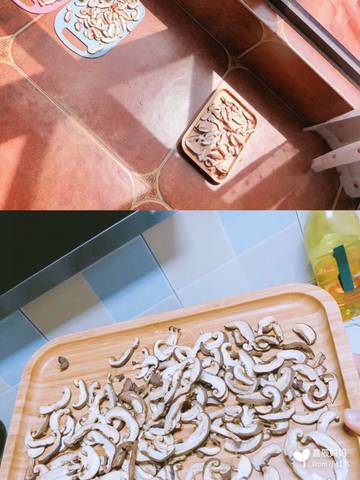 journal_insert_pic_1089322175