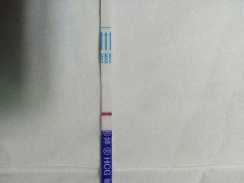 journal_insert_pic_1088941799