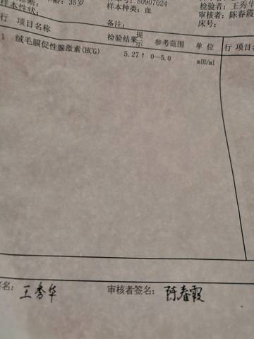 journal_insert_pic_1089473338