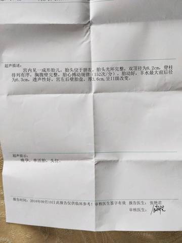 journal_insert_pic_1090565324