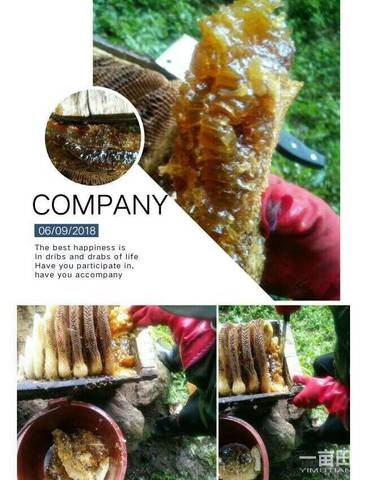 journal_insert_pic_1090589828
