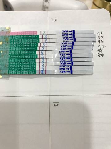 journal_insert_pic_1090966739