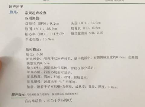 journal_insert_pic_1091738171