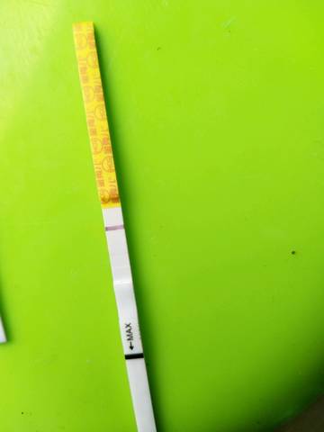 journal_insert_pic_1091679936