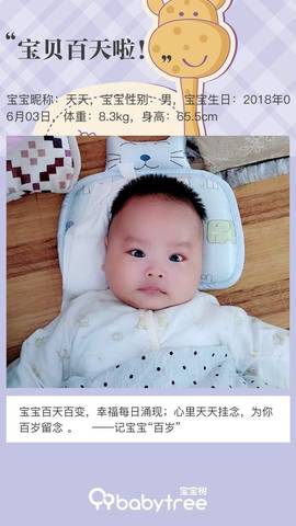 journal_insert_pic_1092092138
