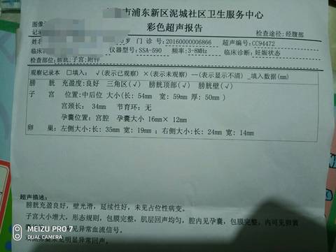 journal_insert_pic_1092358209