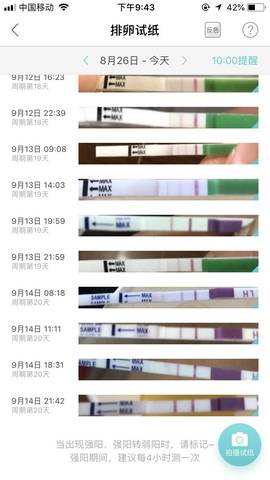 journal_insert_pic_1093071431