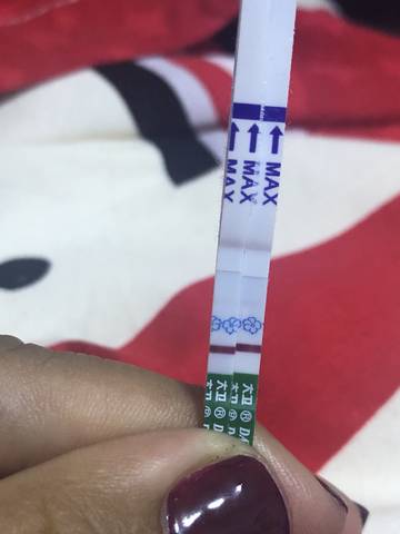 journal_insert_pic_1093110899