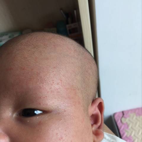 journal_insert_pic_1092815138