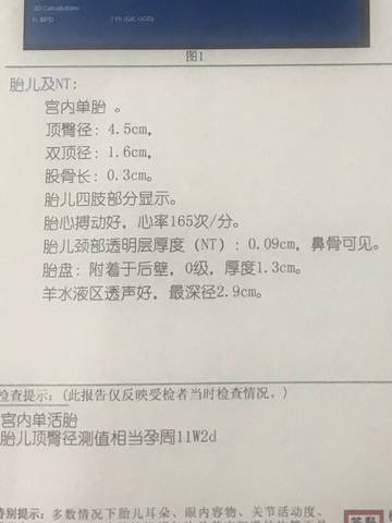 journal_insert_pic_1093855243