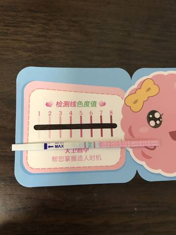 journal_insert_pic_1094074851