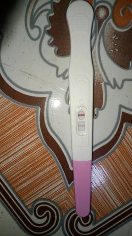 journal_insert_pic_1094768341