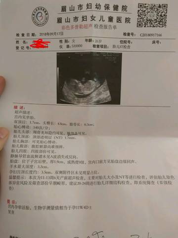 journal_insert_pic_1094550471