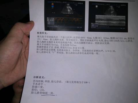 journal_insert_pic_1095154907