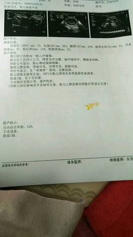 journal_insert_pic_1095173290