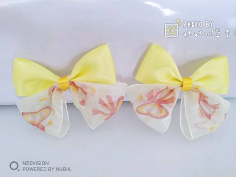 journal_insert_pic_1095072595