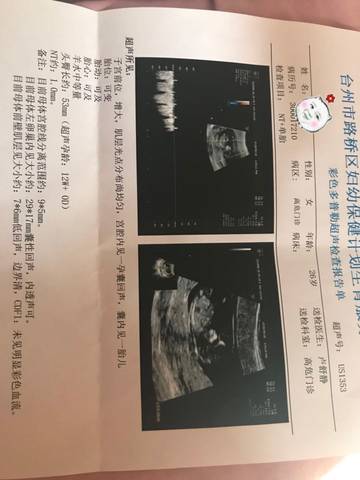 journal_insert_pic_1095238339