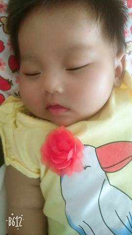 journal_insert_pic_1095547540