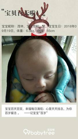 journal_insert_pic_1095524115