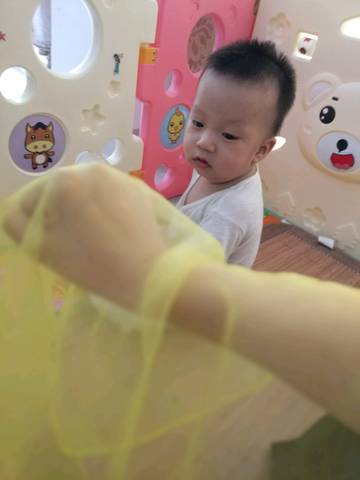 journal_insert_pic_1095982782