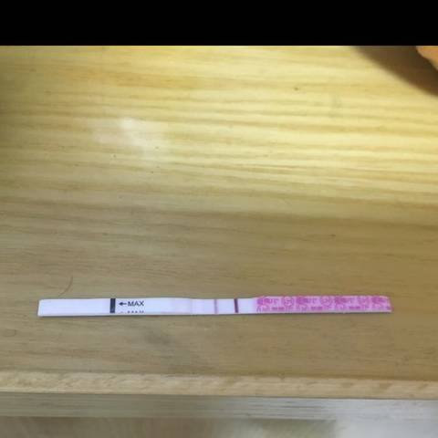 journal_insert_pic_1095534686
