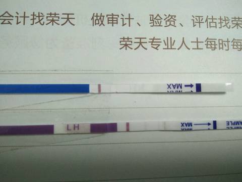 journal_insert_pic_1096385912