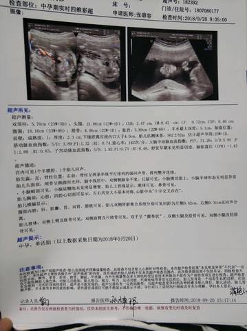journal_insert_pic_1096325569