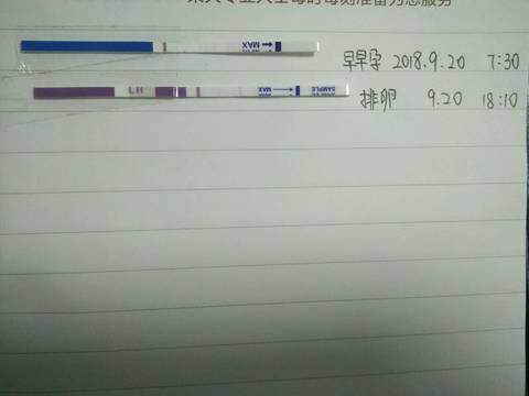 journal_insert_pic_1096385889