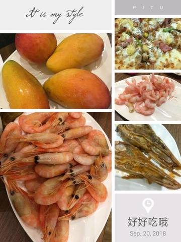 journal_insert_pic_1096229673