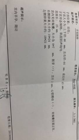 journal_insert_pic_1096276012