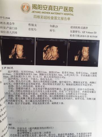 journal_insert_pic_1096293939