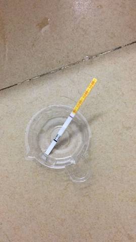 journal_insert_pic_1096300097