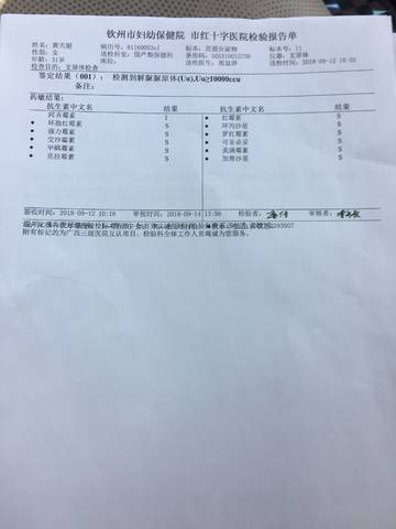 journal_insert_pic_1096863651