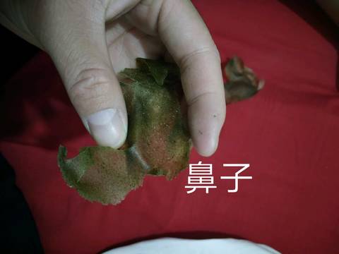 journal_insert_pic_1097386749