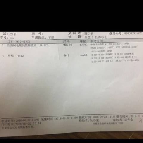 journal_insert_pic_1097428461