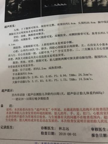journal_insert_pic_1097176300