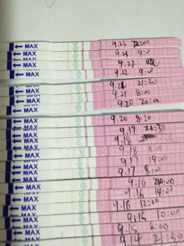journal_insert_pic_1098207943