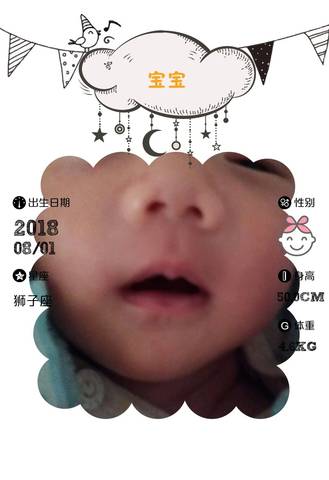 journal_insert_pic_1098406527