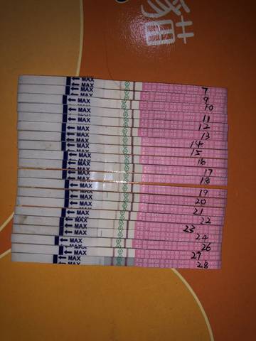 journal_insert_pic_1101098760