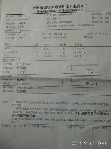 journal_insert_pic_1101473911